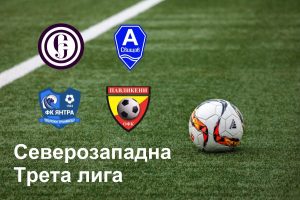 grass-outline-structure-sport1-scaled